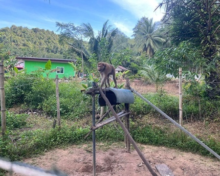 Indigenous way of Life at Koh Yao Yai & Khai Island